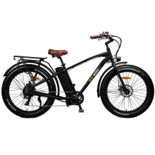 Hot Selling High Quality Brushless 750W Fat Tyer Electric Mountain Bike